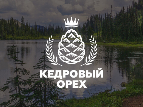 Разработка сайта Томск по продаже орехов